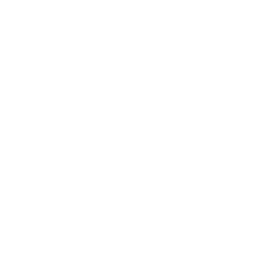spotify link